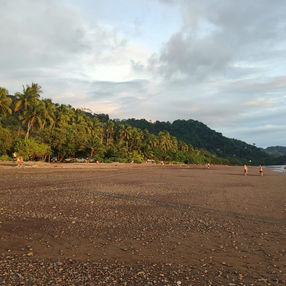dominical beach