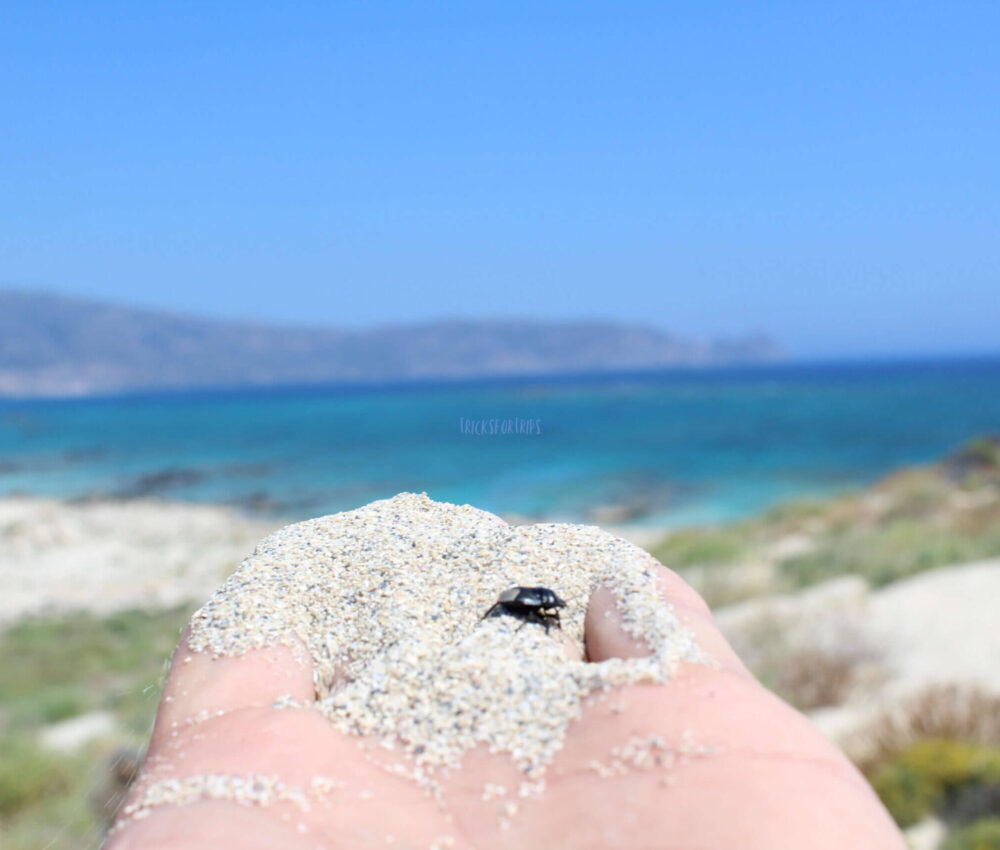 Elafonisi beach sand - tricksfortrips
