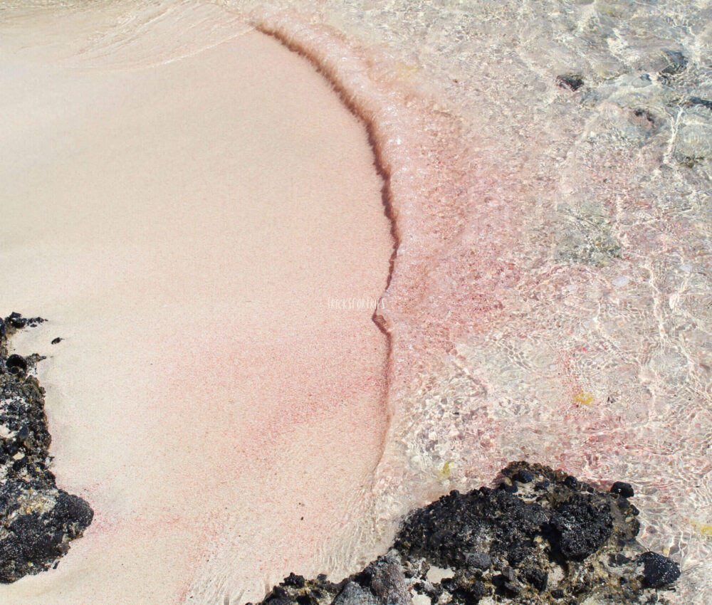 Elafonisi beach pink sand - tricksfortrips