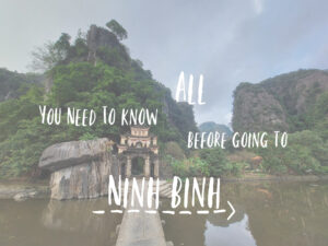 All you need to know beforegoing to ninh binh - tricksfortrips