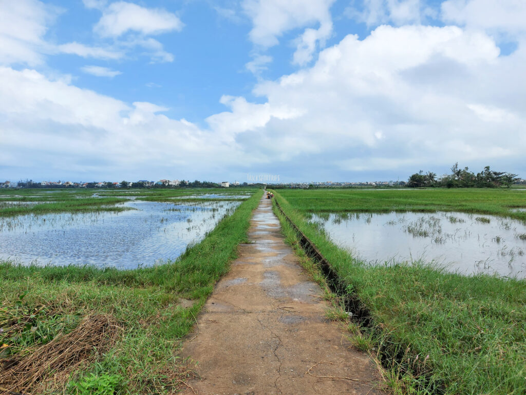 Bike ride Hoi An countryside - TricksForTrips