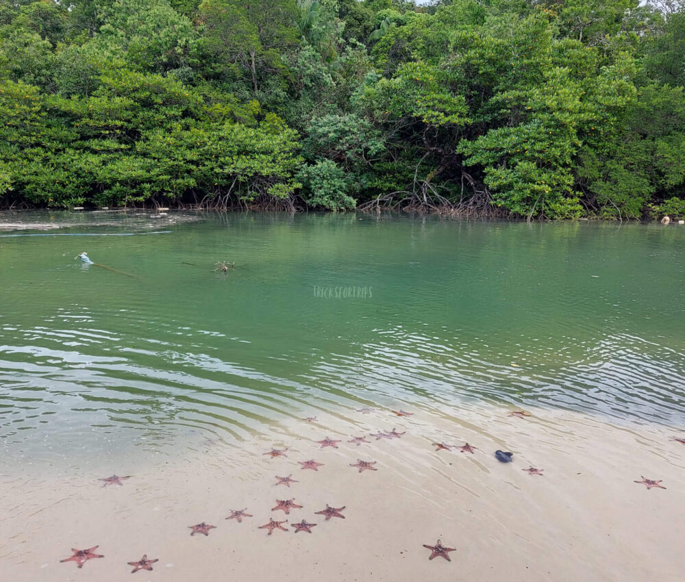 Starfish Beach Phu Quoc - TricksForTrips