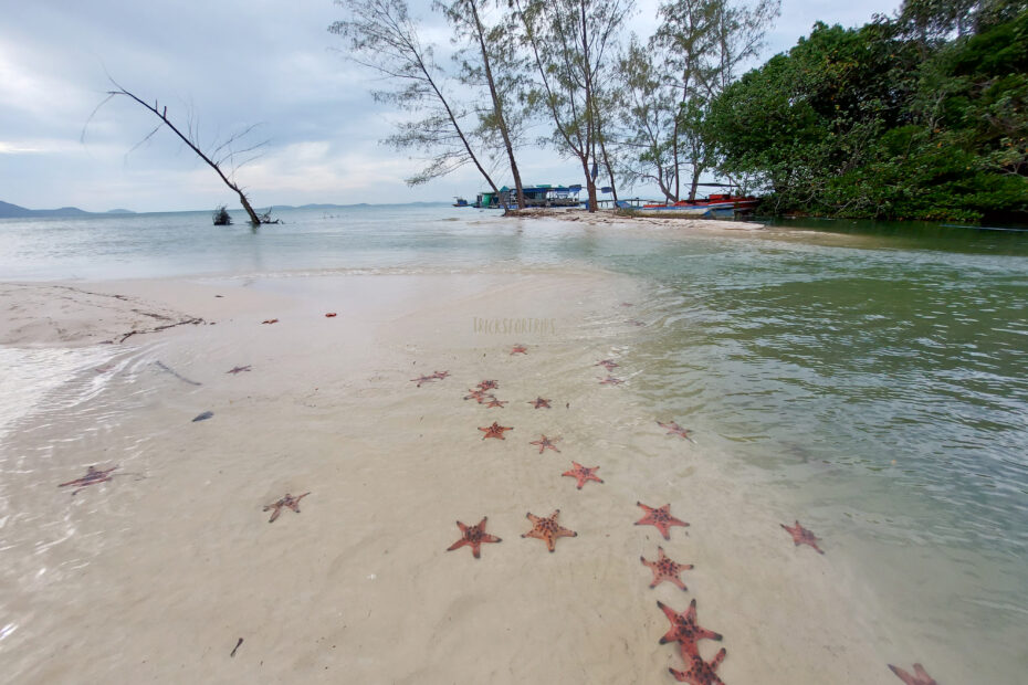 Starfish Beach Phu Quoc - TricksForTrips2