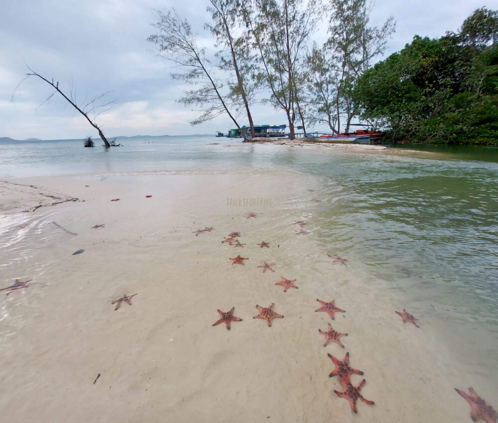 Starfish Beach Phu Quoc - TricksForTrips2