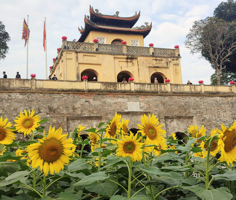 Hanoi Imperial Citadel - TricksForTrips