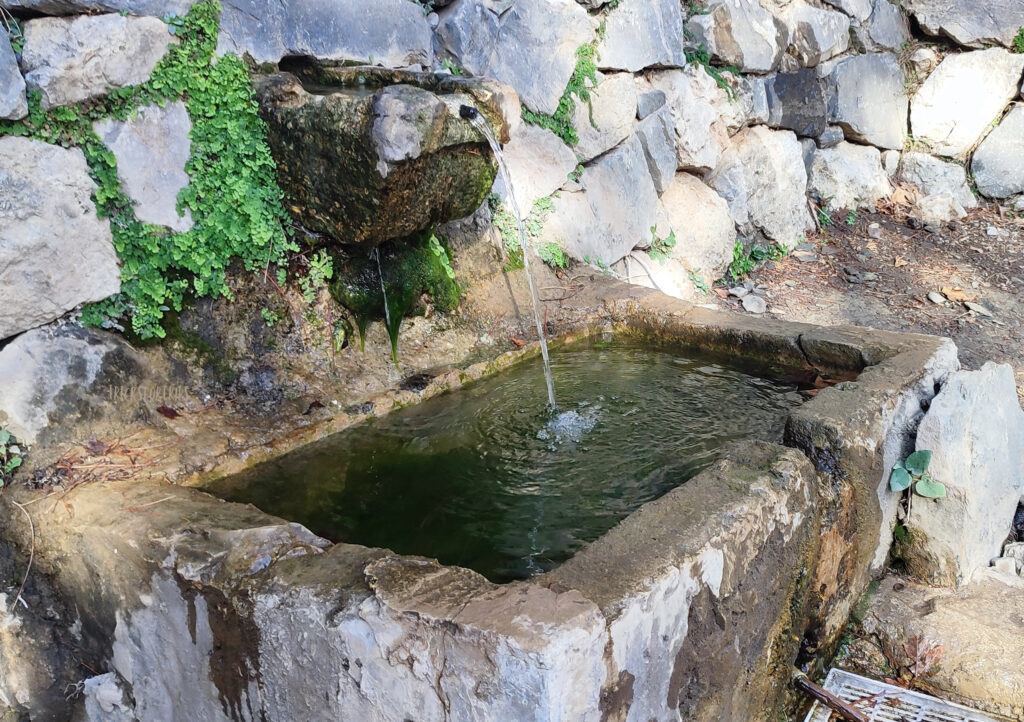 Water Samaria Gorge - TricksForTrips