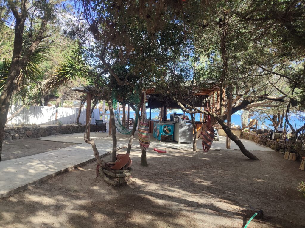 Dafni beach bar zakynthos - TricksForTrips