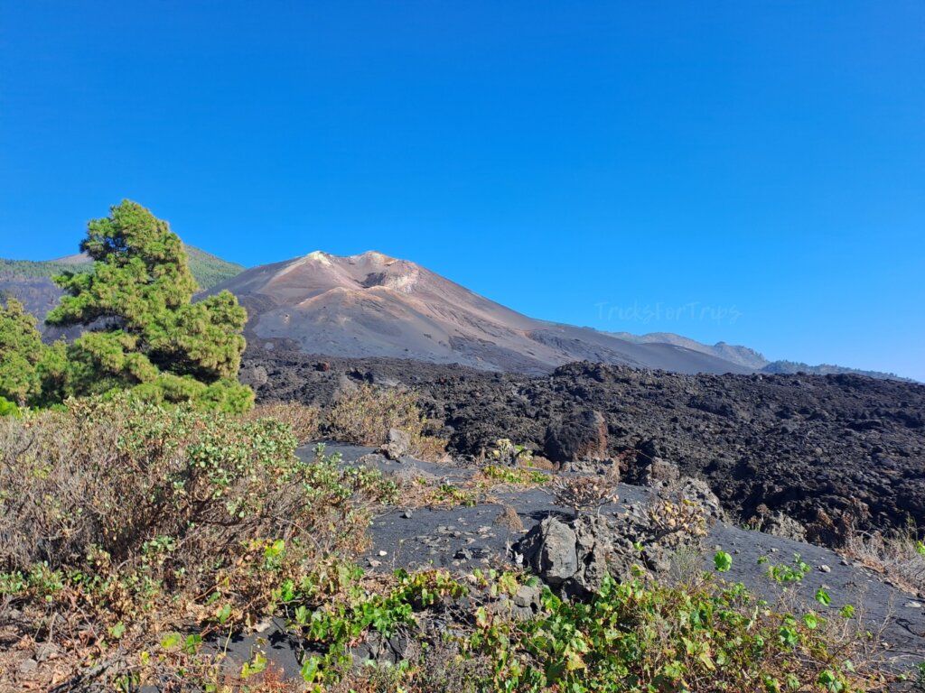 Volcán Tajogaite La Palma - TricksForTrips