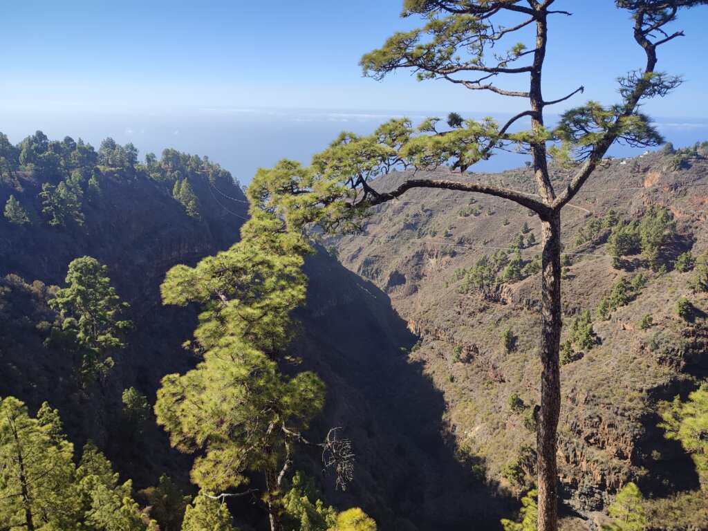 Mirador de Izcagua en La Palma - TricksForTrips