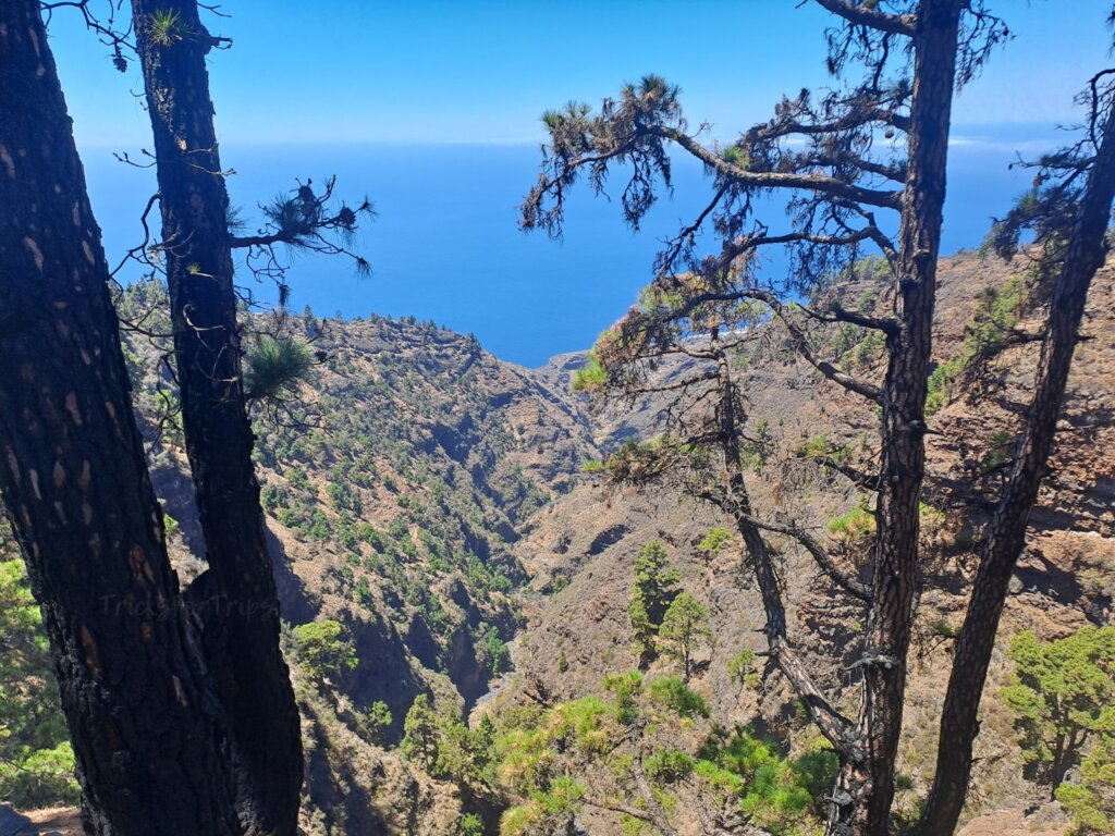 Mirador Barranco de Garome La Palma - TricksForTrips