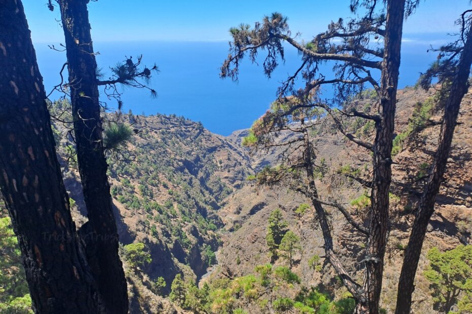 Mirador Barranco de Garome La Palma - TricksForTrips