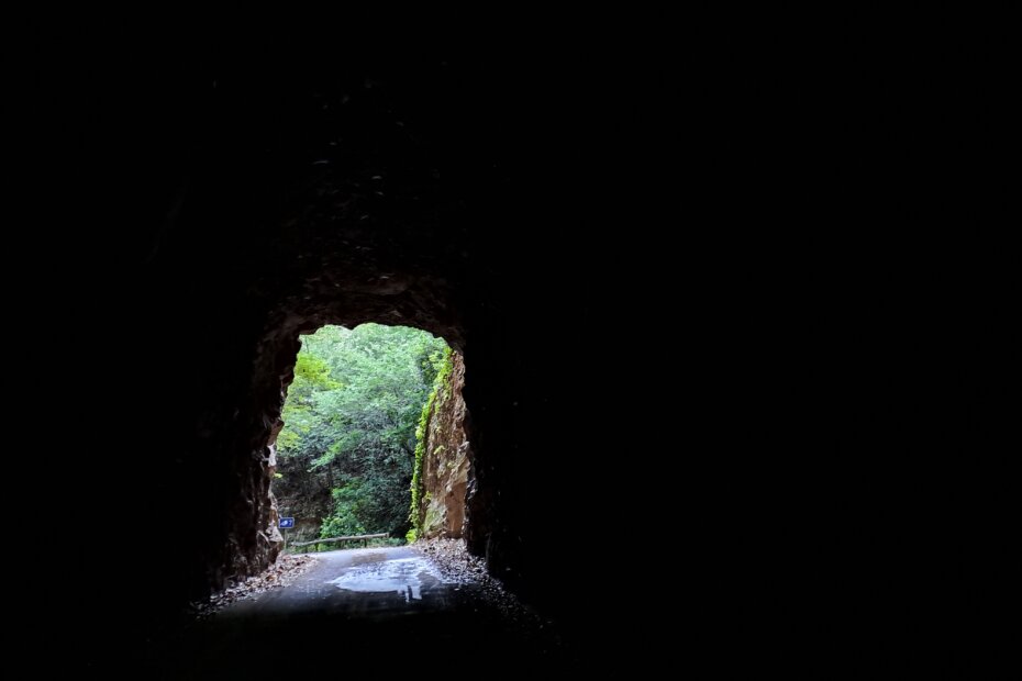 Tunel de Las Mimbreras La Palma - TricksForTrips