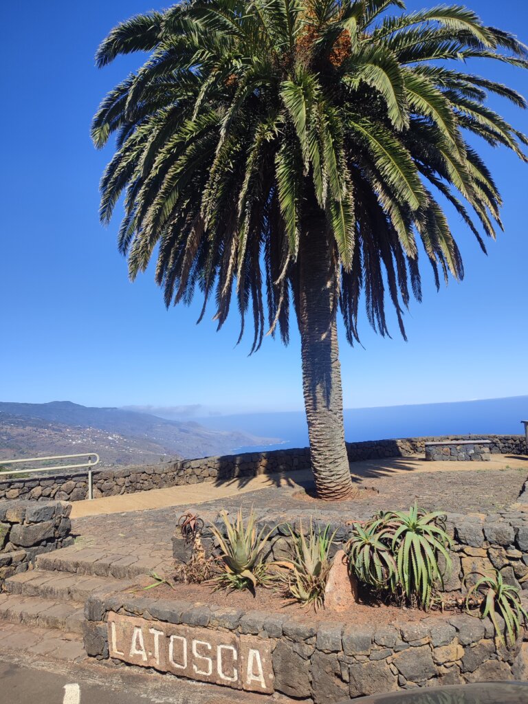 Mirador de La Tosca en La Palma - TricksForTrips