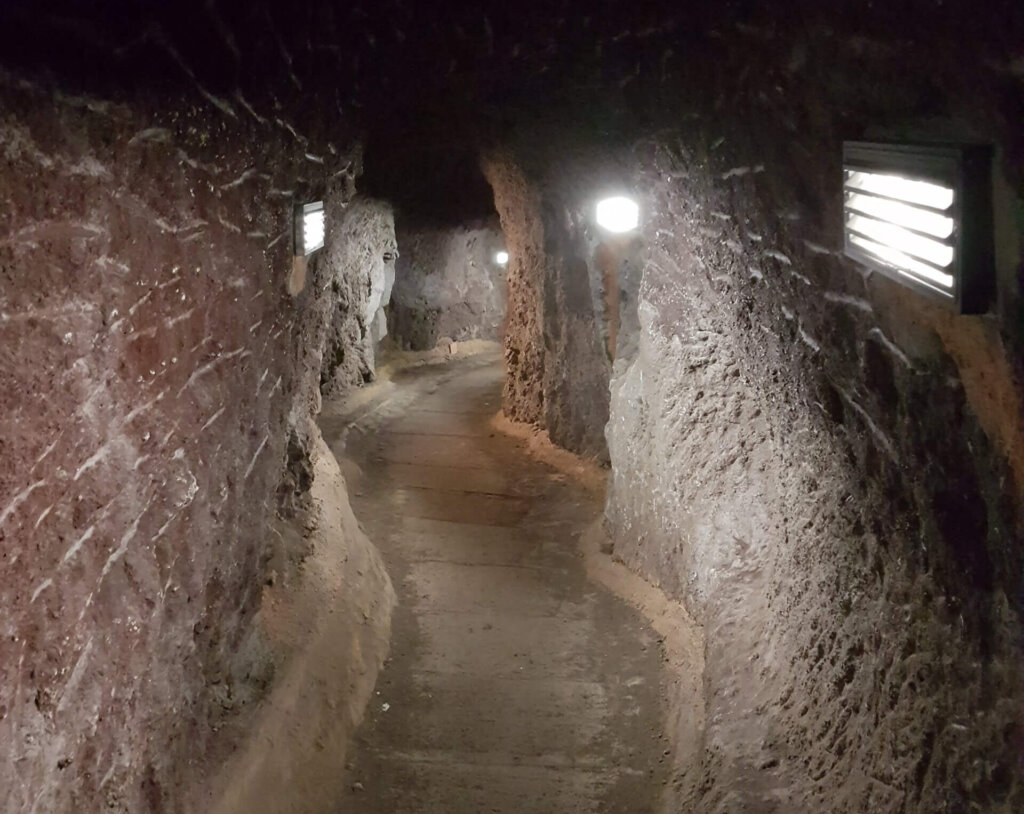 Cascada de Los Tilos tunnels La Palma - TricksForTrips