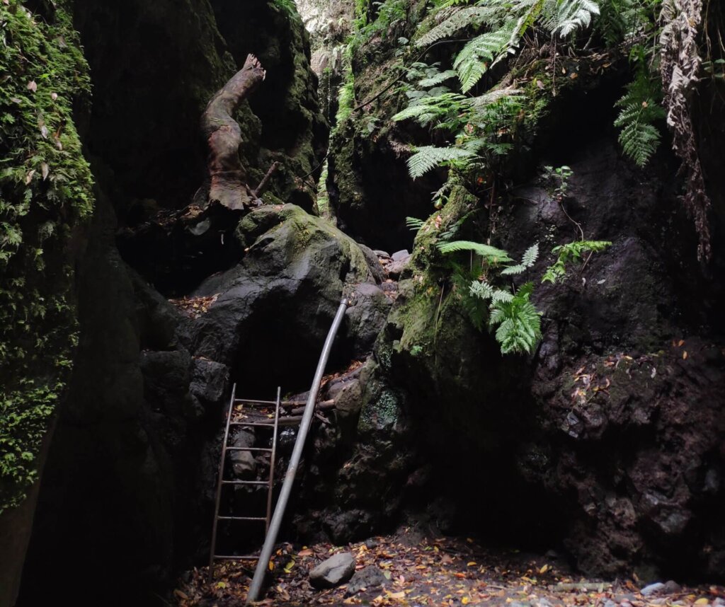 Cascada de Los Tilos path La Palma - TricksForTrips