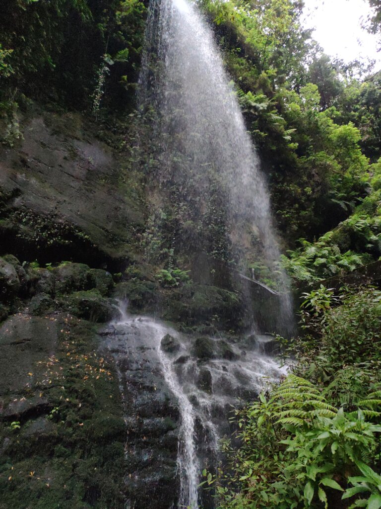 Cascada de Los Tilos waterfall La Palma - TricksForTrips