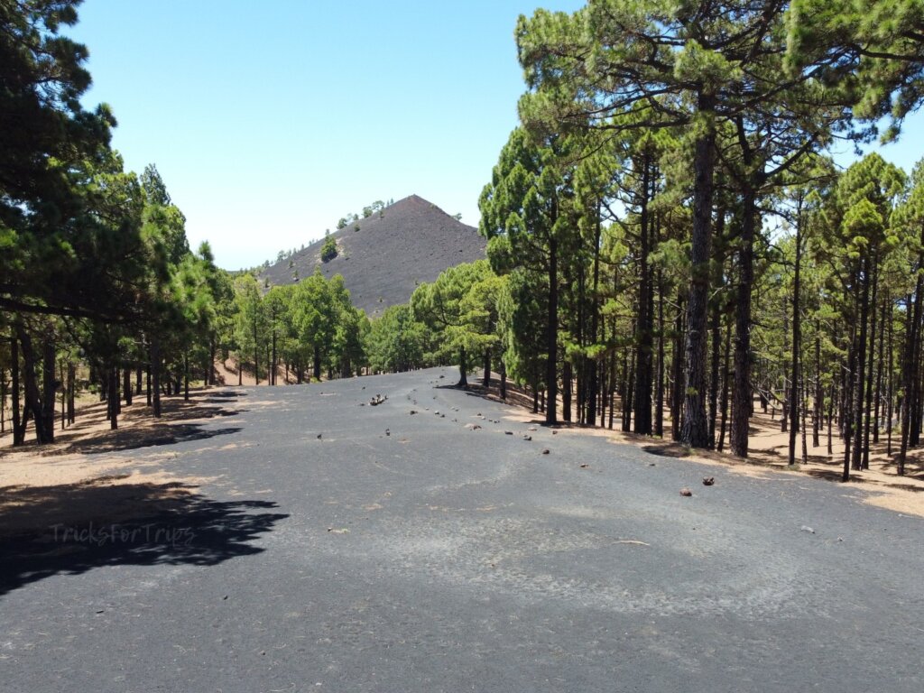 Ruta de los volcanes Montaña cabrera La Palma - TricksForTrips