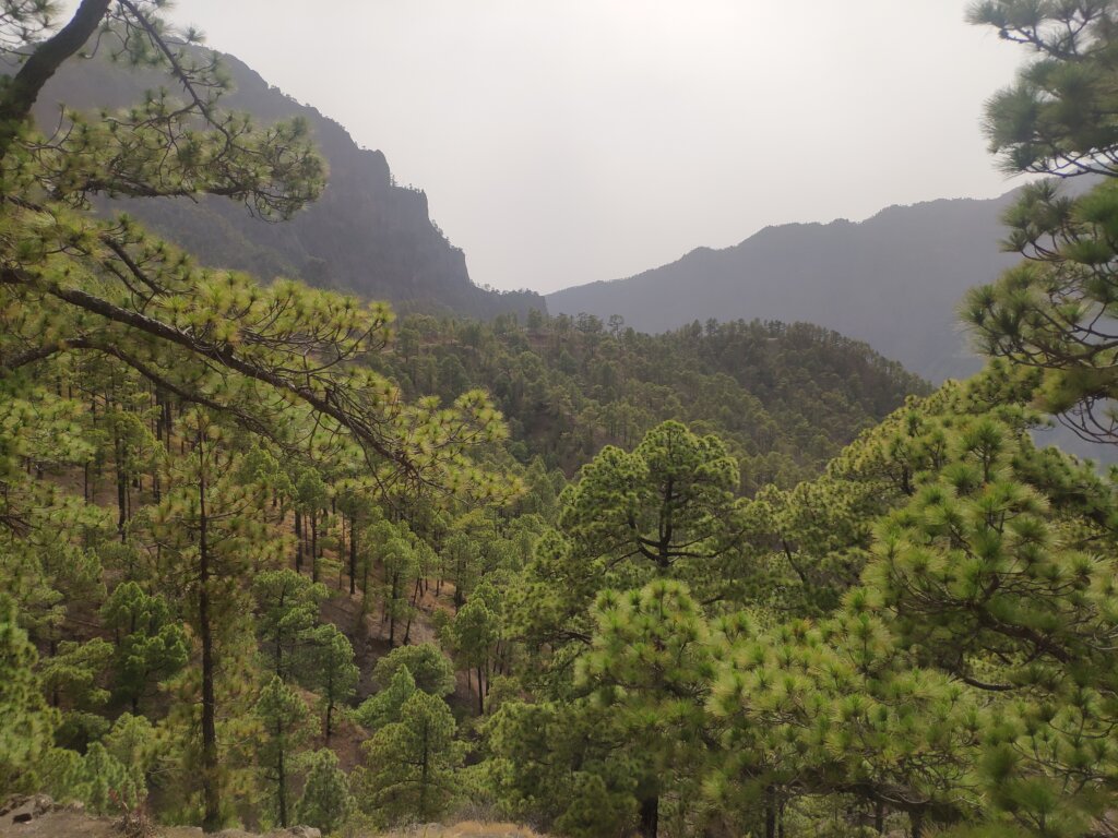 Mirador de La Cumbrecita - La Palma - TricksForTrips